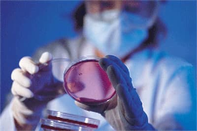 亿德体育app入口